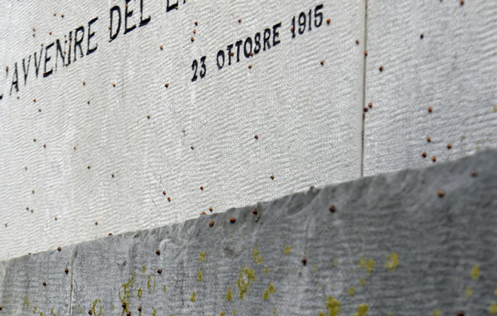 Pullulazione di coccinelle